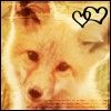 fox_by_foxeh_icons.png.jpg